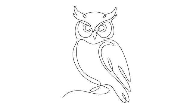 Continuous single line drawing of an owl icon minimalist vector animation
