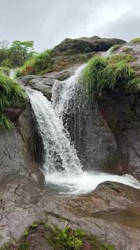 Twin waterfalls in Bhimashankar Wildlife Sanctuary during the monsoon.