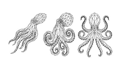 Modern Polygonal Octopus Line Art Vector Set with Geometric Marine Designs © Shaon