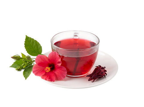 Fresh hibiscus flower tea in glass cup isolated on transparent background with petals