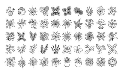 Top view house plant outline icon set hand drawn botanical vector illustration © MdRabbi