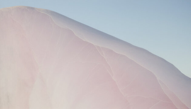 Abstract soft pink petal texture for high-end skincare packaging