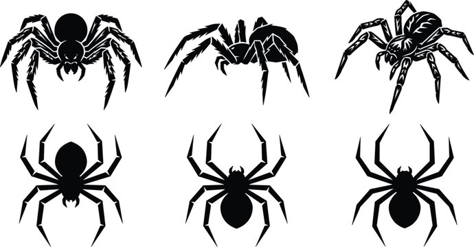 Black spider silhouette set vector illustration isolated on white background for Halloween and scary tattoo designs