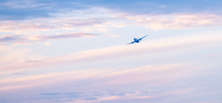 飛行機
