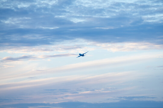 飛行機
