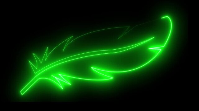 owing neon Feather icon isolated on black background, . 4k video animation