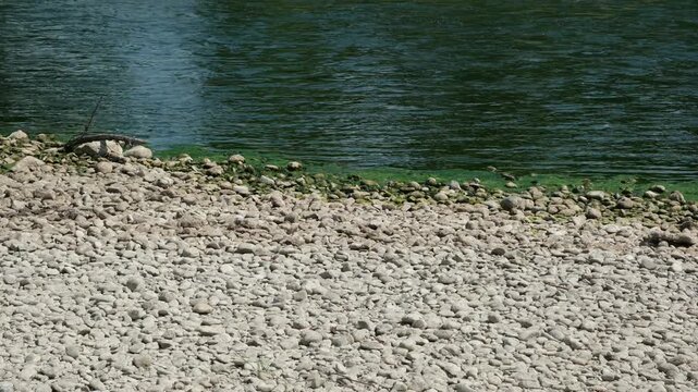 Tiefer Fluss Wasserstand wegen Trockenheit und Hitze im Sommer, Umwelt Folgen von der Klimaerw&auml;rmung auf Fl&uuml;sse bei Trockenheit und Hitze im Sommer in Europa