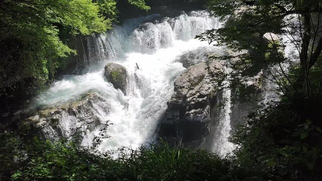 rushing waterfall in Martvili canyon, powerful stream crashing over rocky cliffs, lush green forest foliage, natural serenity, wilderness scenery