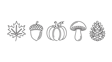 Minimalist autumn line icons set, black and white fall nature elements, pumpkin acorn mushroom leaf and pinecone vector illustrations © Muhammad