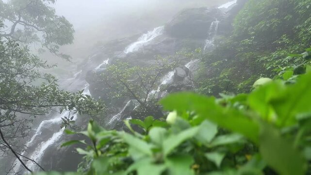 Breathtaking foggy waterfall in India's Western Ghats during the monsoon, recorded in 4K with ambient sound	