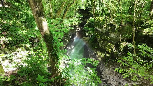 Sunlit waterfall flowing through mossy Martvili canyon in Georgia, lush green forest trees, serene river nature scene