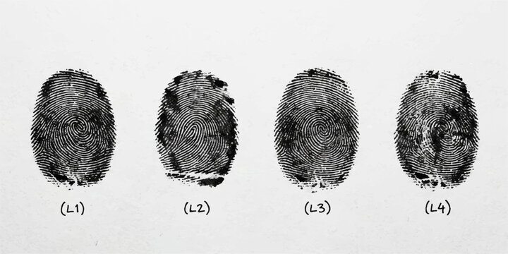 Categorized forensic fingerprint impressions labeled l1 to l4 for criminal investigation and data classification