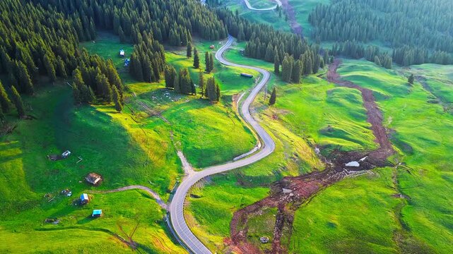 Aerial shot of a winding road cutting through lush green mountain pastures and dense pine forests in Xinjiang.