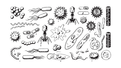 Fototapeta premium Hand Drawn Microbiology Organisms Set: Bacteria, Viruses, and Cells