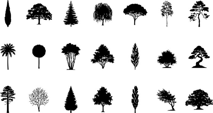 Collection of various tree silhouettes showing different shapes and species for landscape design and architectural projects