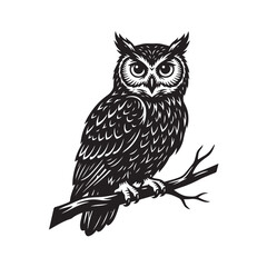 Obraz premium Minimalist black owl silhouette illustration perched on tree branch isolated on white background with silhouette