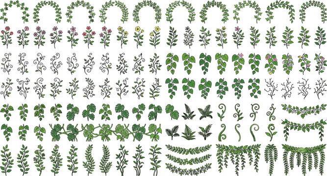 Botanical Vine and Leaf Border Vector Collection with Floral Decorative Greenery Elements