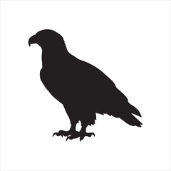Fototapeta premium BALD Eagle Silhouette Isolated on White Background