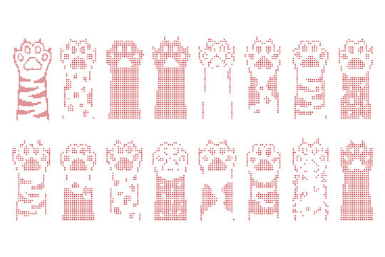 Set of cat paws with various fur patterns