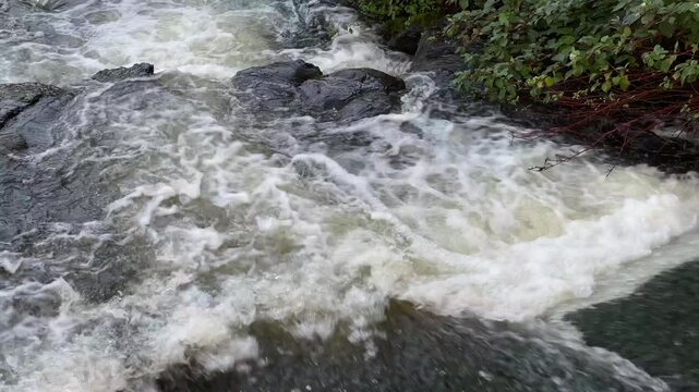Close-up video of fast-flowing water cascading over dark rocks at Parc des Rapides in LaSalle, Quebec, Canada. 