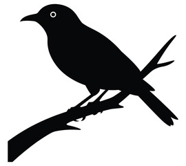 Obraz premium Bird Silhouette On Branch Black And White Graphic
