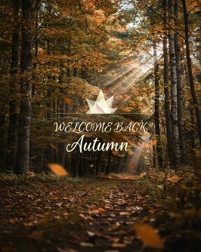 Welcome back autumn greeting card with a beautiful sunlit forest path covered in fallen golden leaves