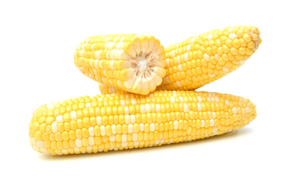 Corn on a white background 