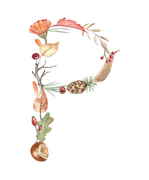 Alphabet letter P made of watercolor autumn leaves, pine cone and needles, berries, chestnuts. Beautiful dropped capital isolated on transparent background. For books, articles, preschool projects