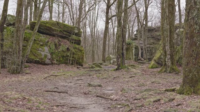 Scenic landscapes in Allegany State Park, New York