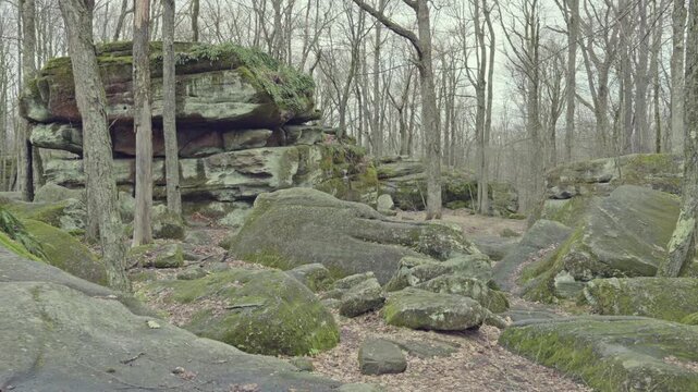 Scenic landscapes in Allegany State Park, New York