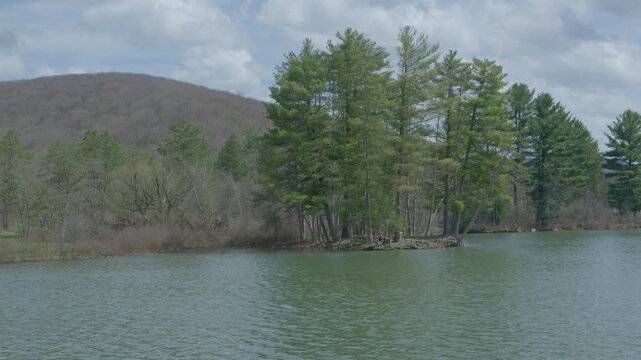 Scenic landscapes in Allegany State Park, New York