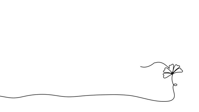 Continuous one line hummingbird bird humming art vector drawing outline. Hummingbird illustration bird logo hibiscus flower abstract feather tropical icon colibri paradise color clipart draw wing