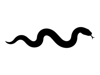 Fototapeta premium Slithering Snake Silhouette