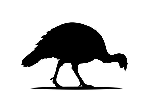 Turkey Bird Silhouette