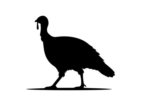 Turkey Bird Silhouette