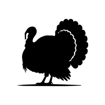 Turkey Bird Silhouette