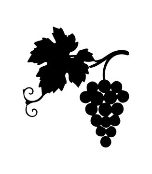 Grape Vine Silhouette