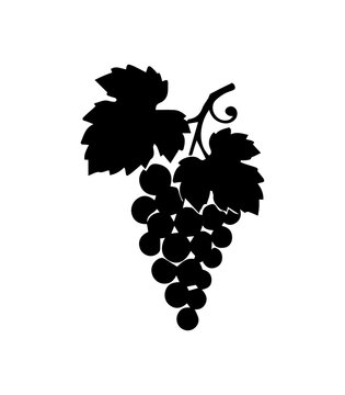 Grape Vine Silhouette