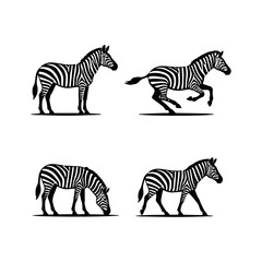 Obraz premium Zebra Silhouette Collection