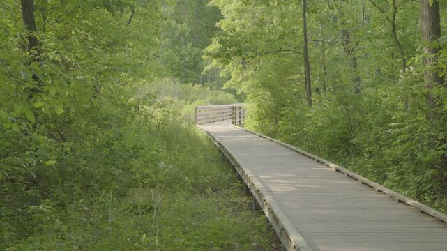 Scenic landscapes at Indiana Dunes National Park