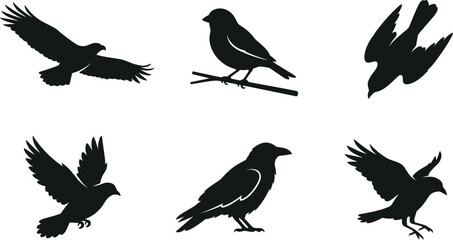 Fototapeta premium Bird Silhouette Collection with Flying Perching and Raven Vector Icon SetBird Silhouette Collection with Flying Perching and Raven Vector Icon Set