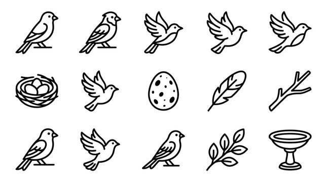 Minimalist Bird Icons Set: Flying, Perching, Nest, Egg, Feather, Branch, Bird Bath
