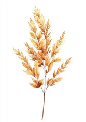 Obraz premium Illustration watercolor botanical autumn.