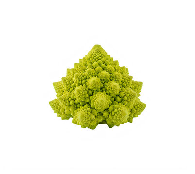 Fresh raw romanesco broccoli vegetable with a unique spiral pattern and bright green color isolated on transparent background