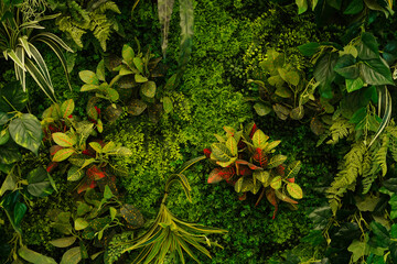 Dense Vertical Garden Display Featuring Tropical Plants And Rich Green Foliage Together © Nastya