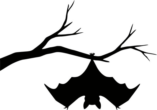 Bat silhouette perched on barren tree branch against stark white background creating a spooky Halloween concept