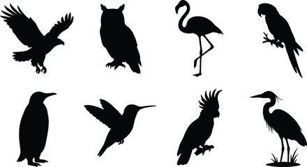 Bird Silhouette Collection Set with Eagle Owl Flamingo Penguin Parrot and Hummingbird © Abdul Mojid