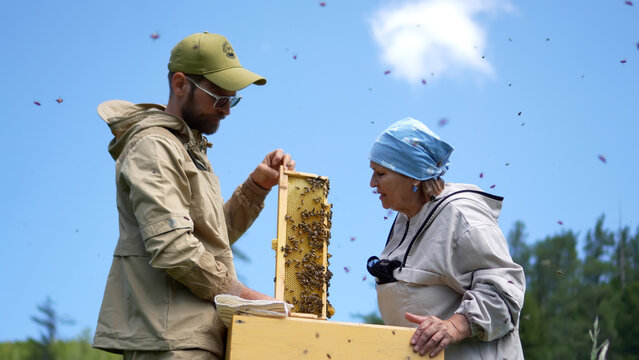 A detailed low-angle portrait capturing a young male and an elderly female apiarists managing a wooden honeycomb frame at a mountain farm.