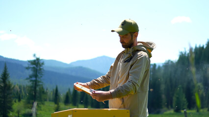 A detailed medium portrait of a single male beekeeper holding a fresh honeycomb frame over an open hive box on a scenic mountain pasture. © OlTarakanov
