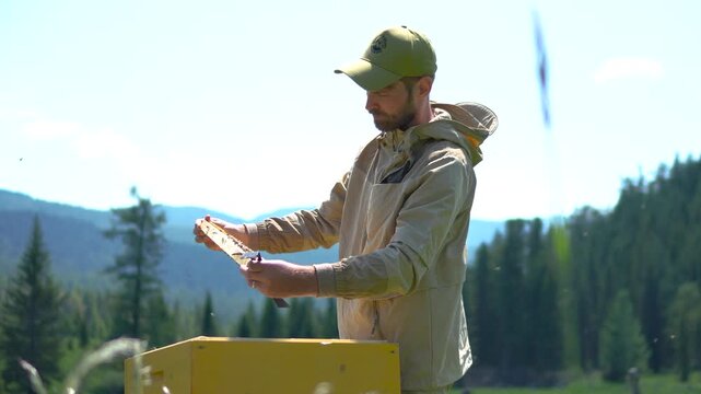 A cinematic medium shot of a focused male apiarist examining a wooden honeycomb frame for bee health inspection at a mountain farm.